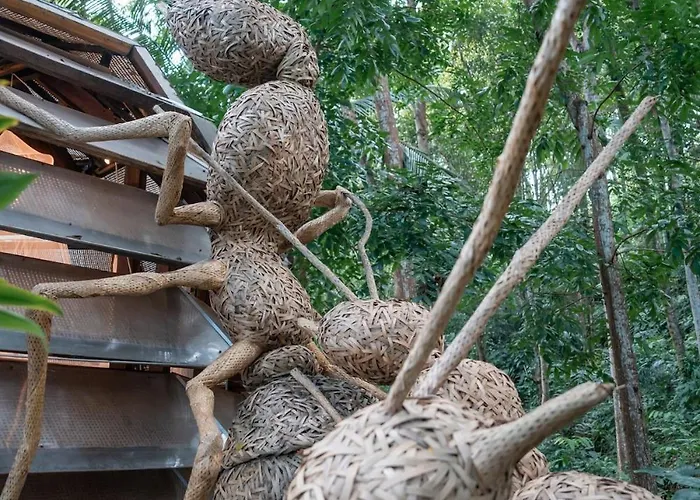 Ant House Sidemen *